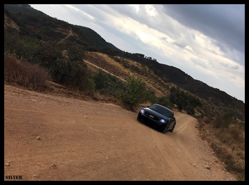 IMG_5874m-800.jpg.3058c17cef61343a4550ba