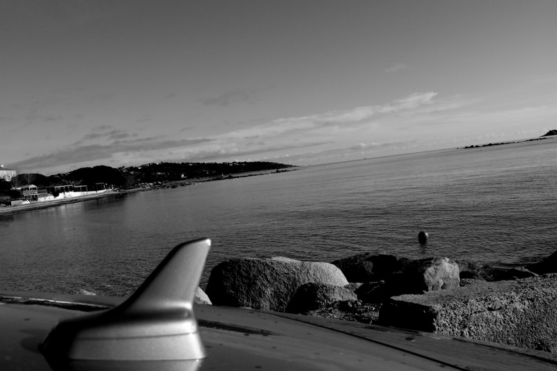 P1110283.jpg