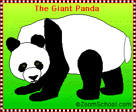 Panda.GIF