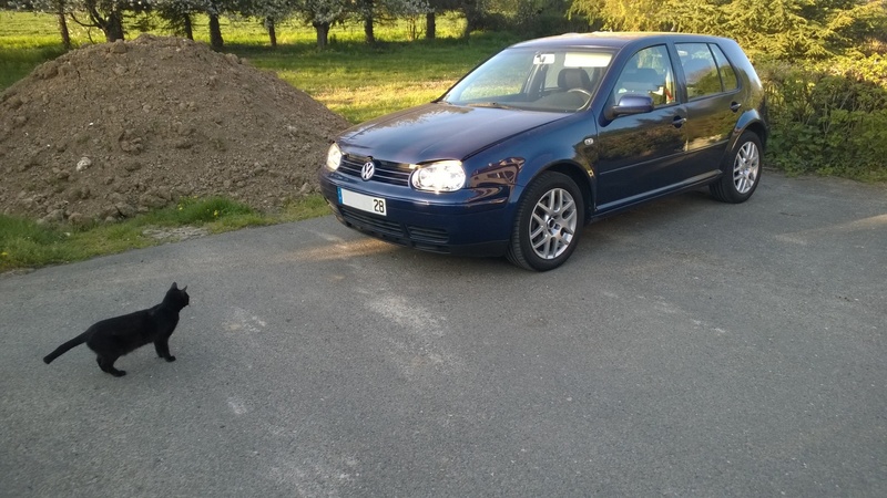 WP_20150418_005_mini.jpg