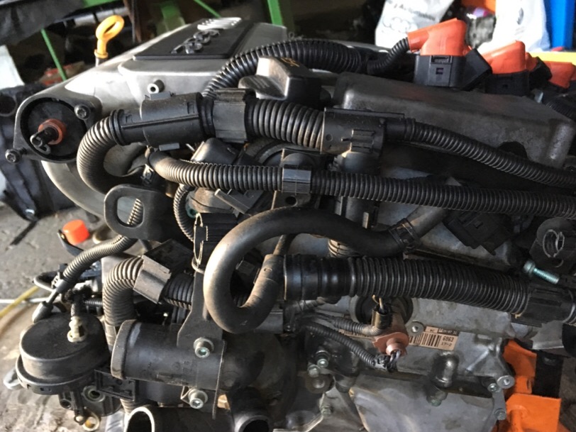 IMG_0112.JPG.3aece31b7a51767ae24d430d6bc