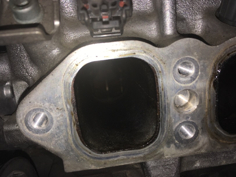 IMG_0115.JPG.e0c0dc33d43044b1ff0c76b0eb7