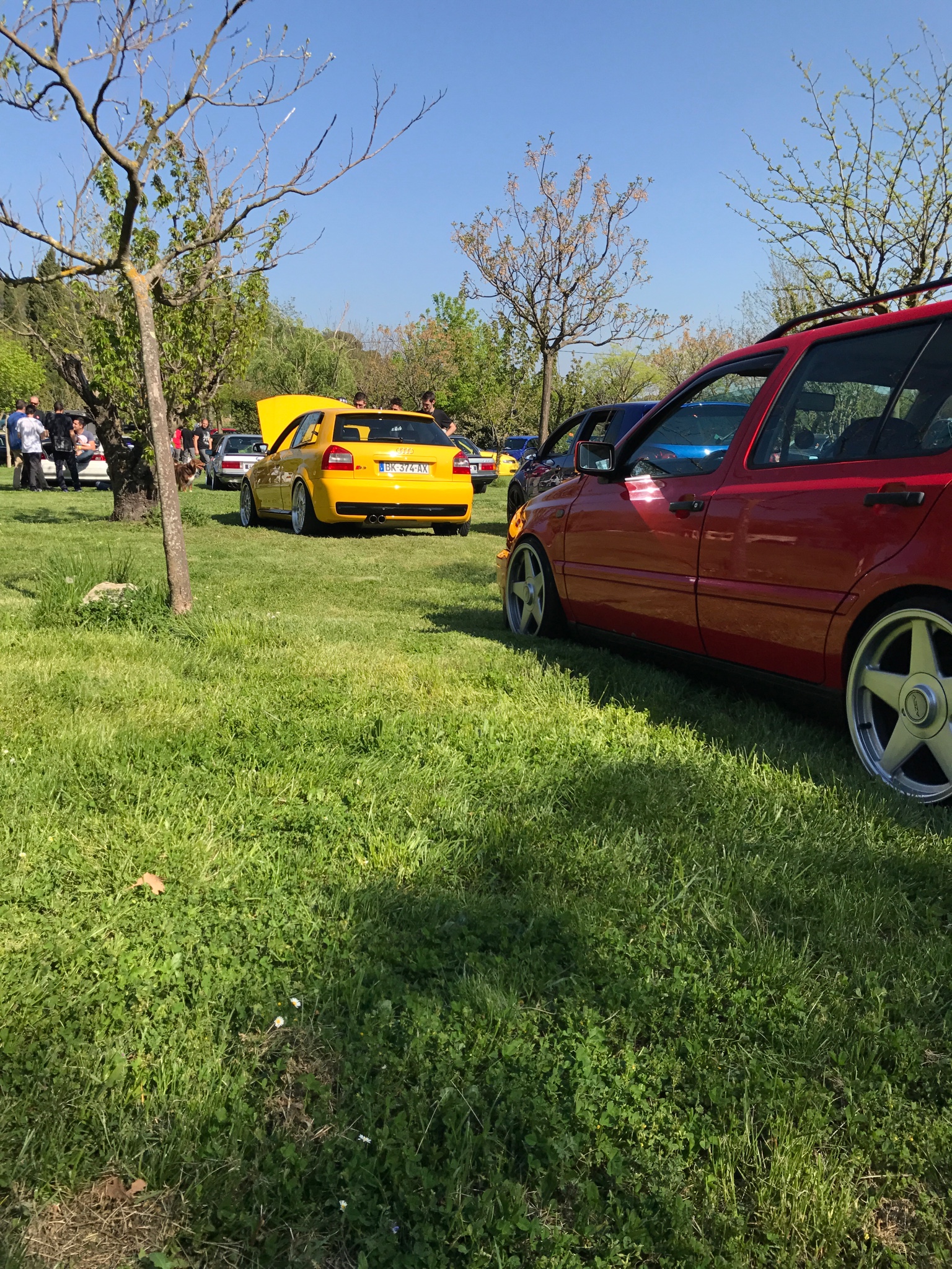 ab342ef0800d542748e7e4c145910a3b.jpg