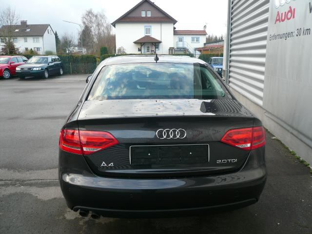 Audi_A4_B8_rear_black.JPG