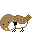 animal131.gif