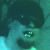 atlas_le_requin.jpg