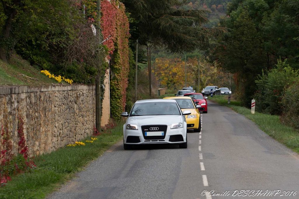 audi-313.jpg