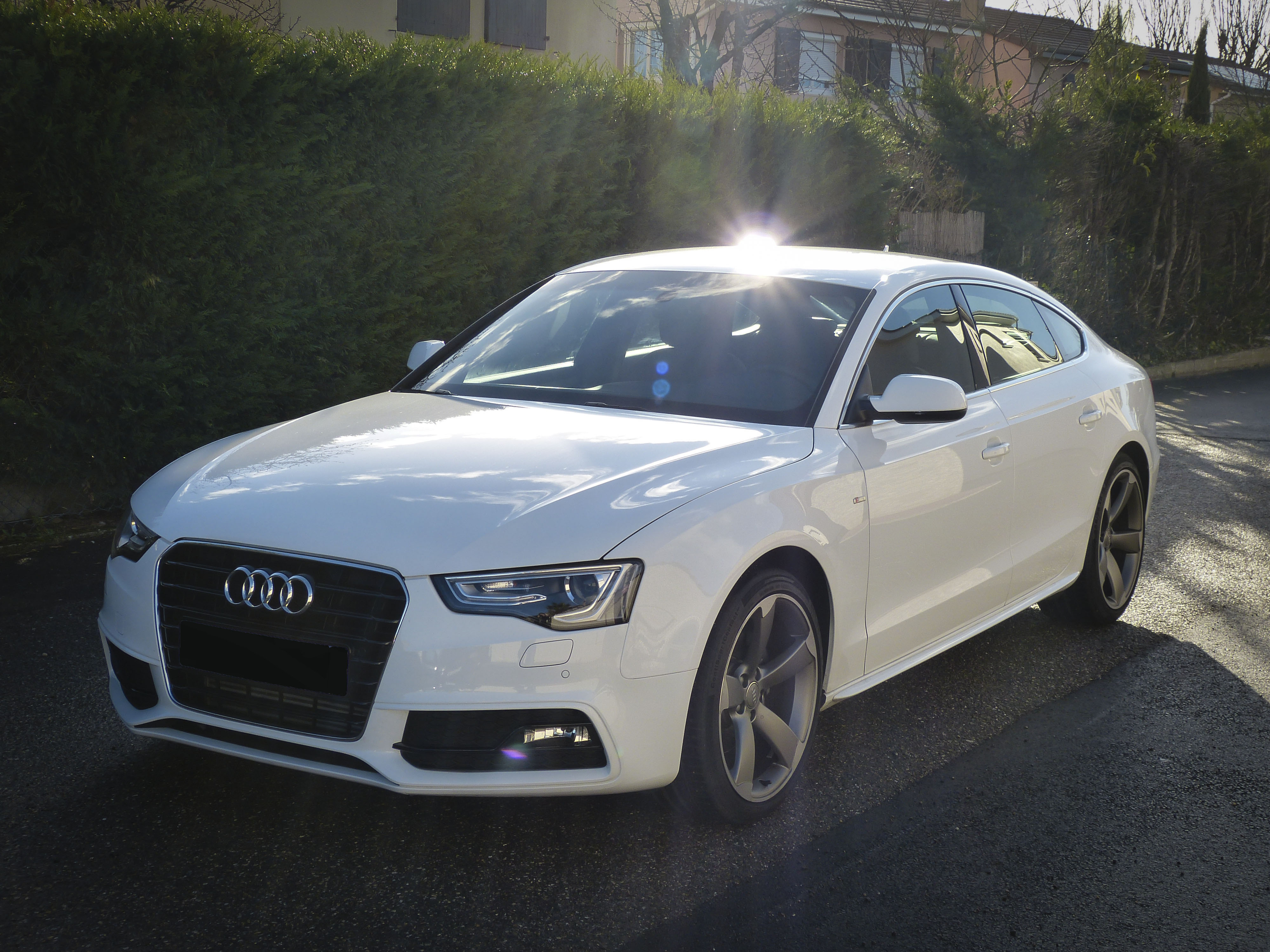 audi-a5-p1010042-big.jpg