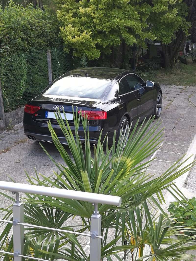 audi_110.jpg