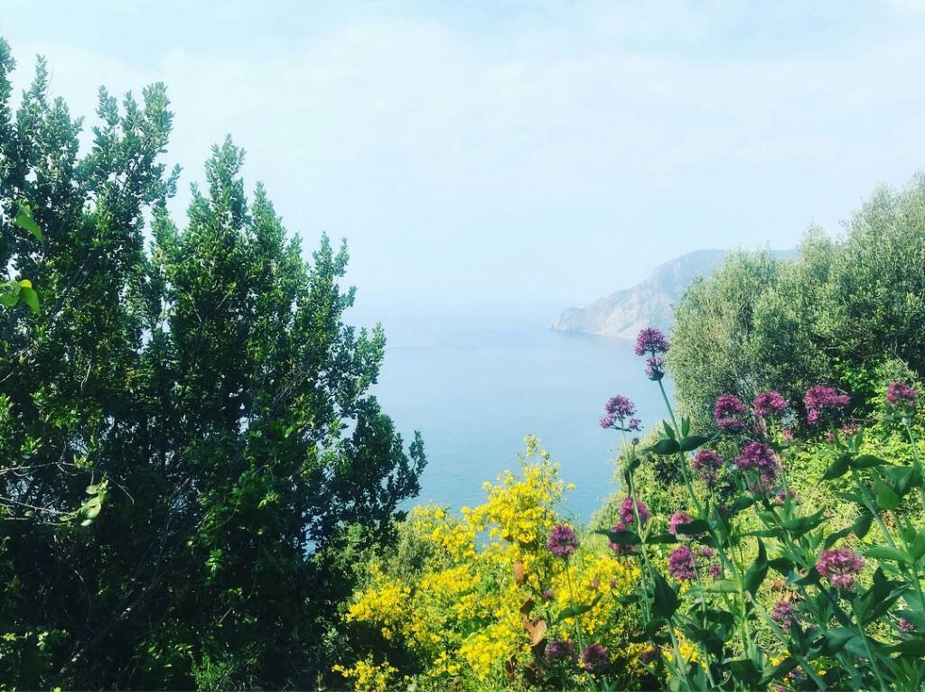 b2db7b2123f43d55abd693eee759e2ef.jpg&key=92dd842d9fbc845addfc4f13576f49a3d52da939e1d18c37f6d3be3b4a6ac8bc