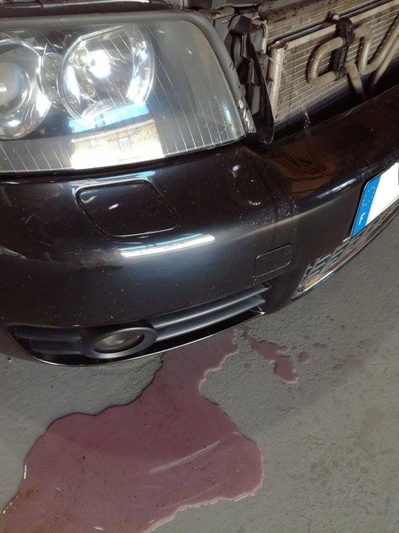 img-66098000e0.jpg?v=1