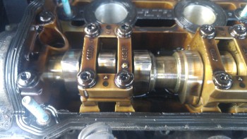 b561cc516071767.jpg