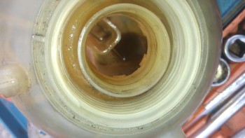b72927478339201.jpg