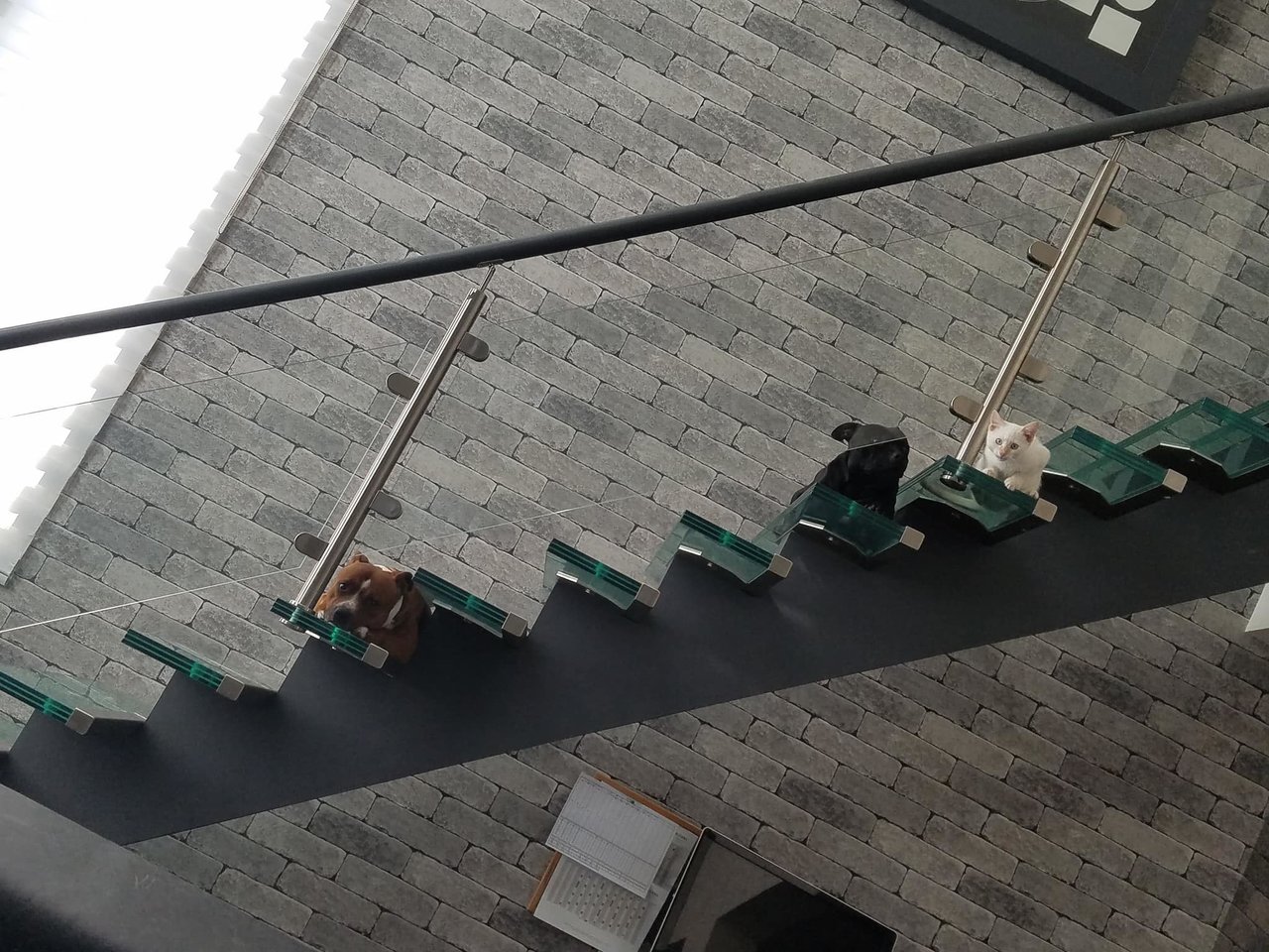 Lâimage contient peut-ÃªtreÂ : une personne ou plus