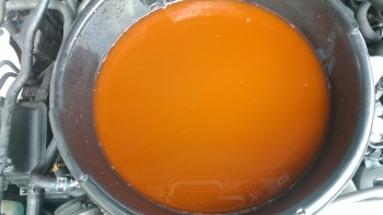 c70329478339234.jpg