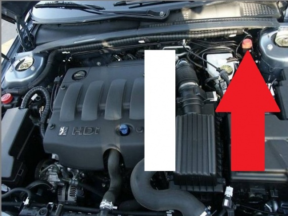 photo-moteur_406_hdi_1-img.jpg?v=6