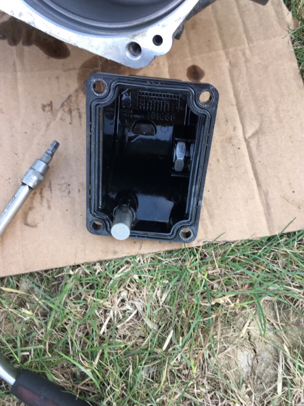 IMG_0569.JPG.76b105be136d7eabadaeb3038db