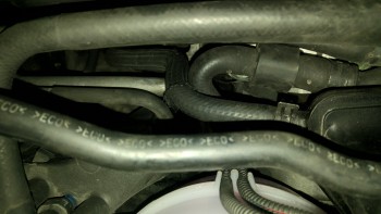 cf0de8478682794.jpg