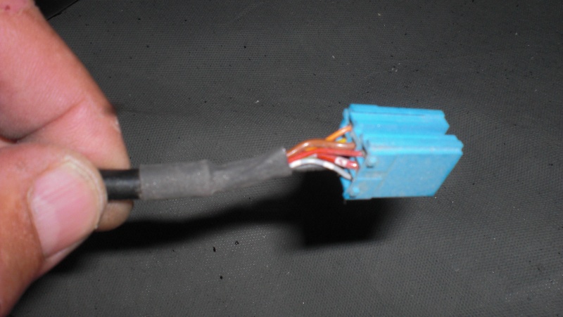cimg5522.jpg