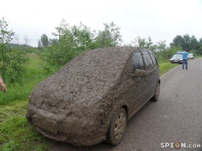 combien-de-voiture-boue-3.jpg