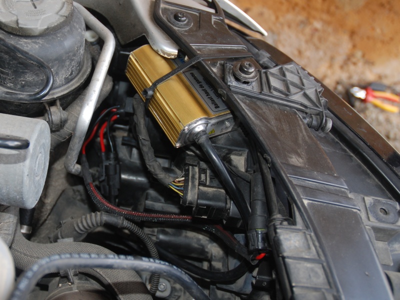 csc_2310.jpg