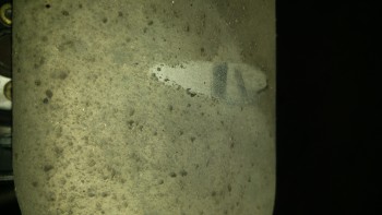 d132ad478682455.jpg