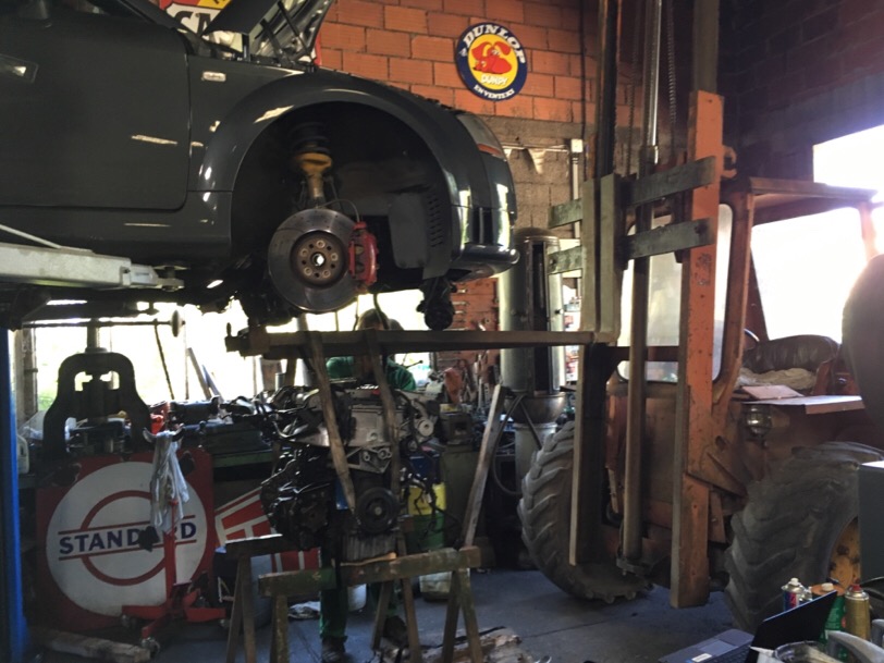 IMG_0132.JPG.d1c0e39456cd7c8d2fe91d5058c