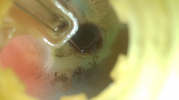 d6c93e478339155.jpg