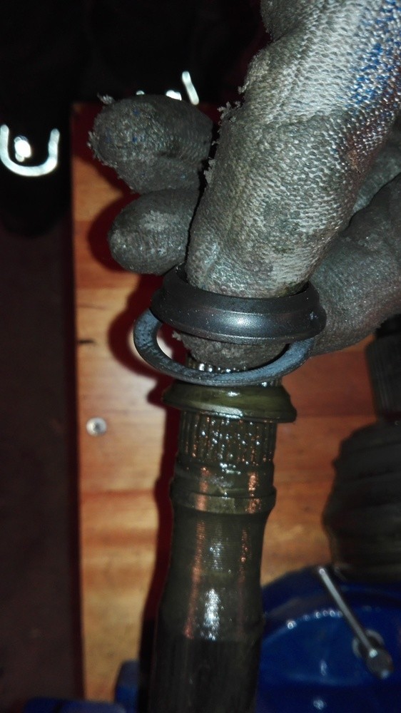 img-6503545798.jpg?v=1