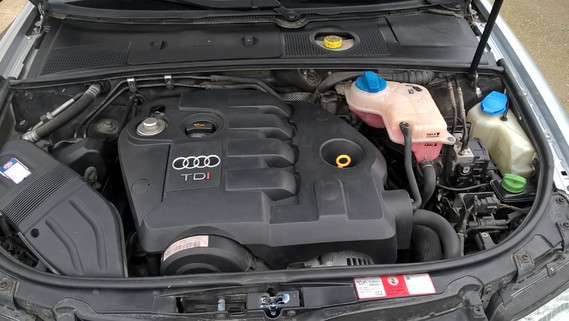 img-5891497a84.jpg?v=1