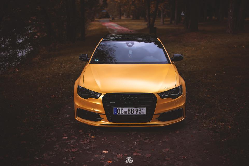 24796380_1552765778146125_15352762917439