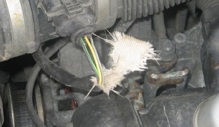 decaflo_1113497212_img_1026.jpg