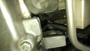 df2138478338950.jpg