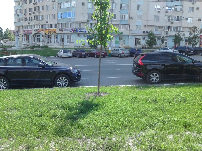 dsc01111.jpg