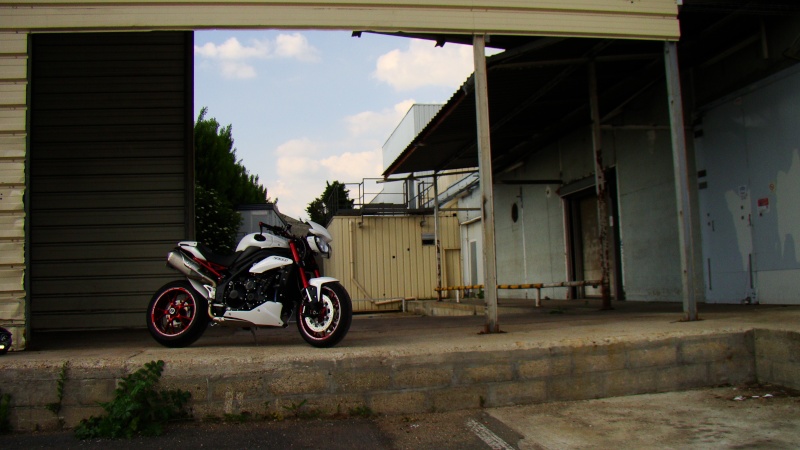 dsc02810.jpg