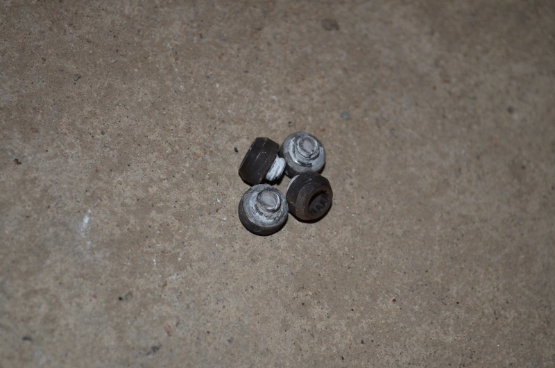 dsc_0010.jpg