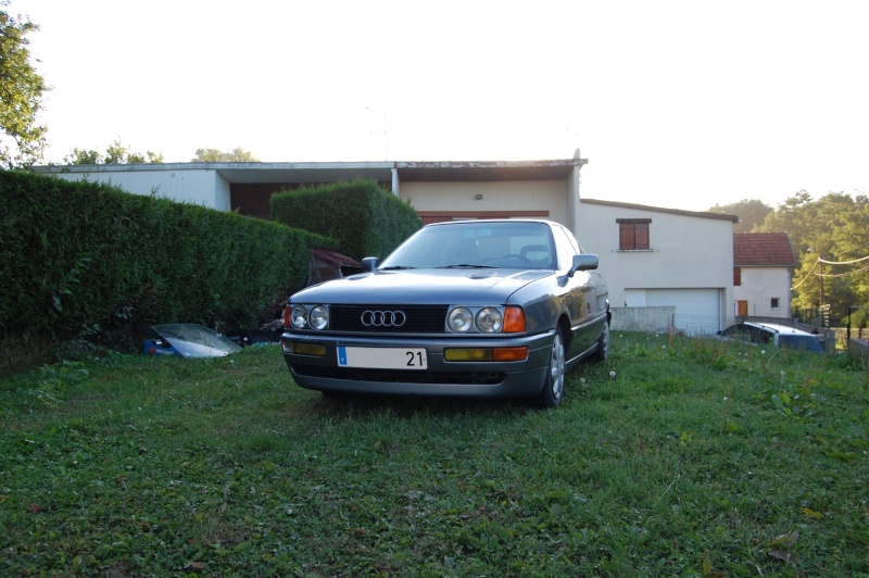 dsc_0012.jpg