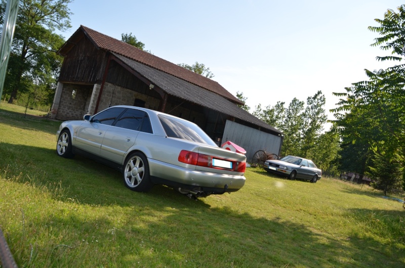 dsc_0119.jpg