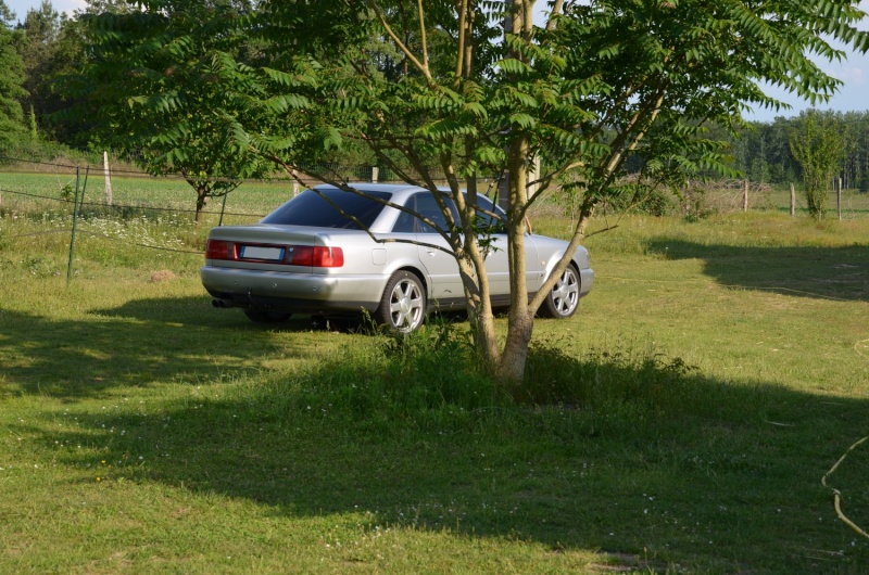 dsc_0121.jpg