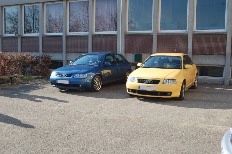 dsc_6911.jpg