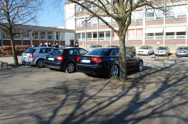 dsc_6913.jpg