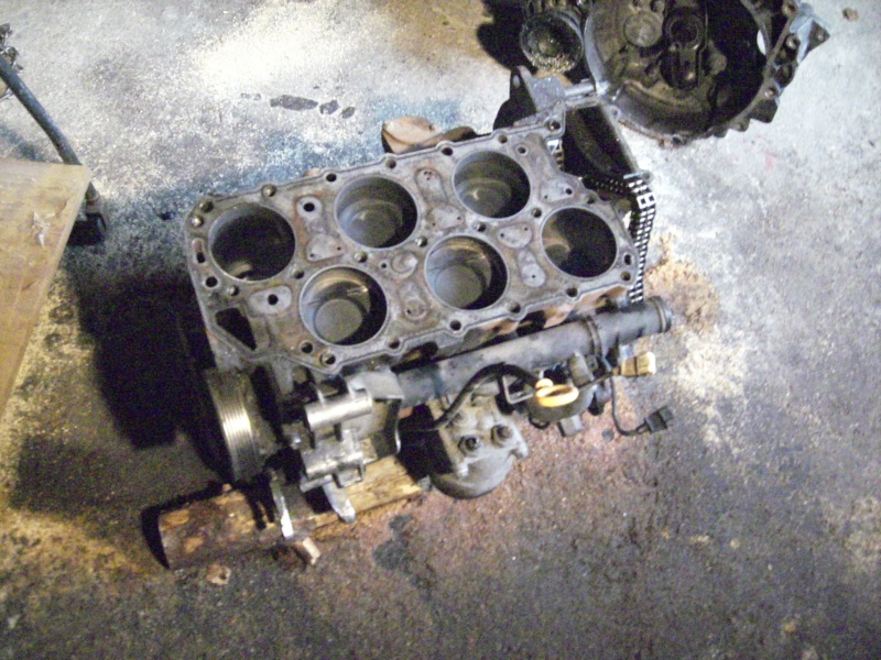dsci0420.jpg