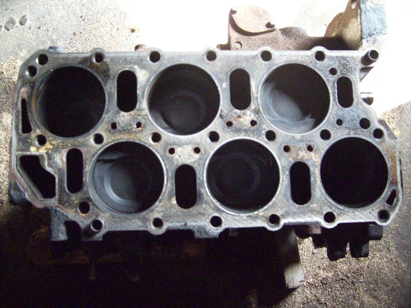 dsci0421.jpg