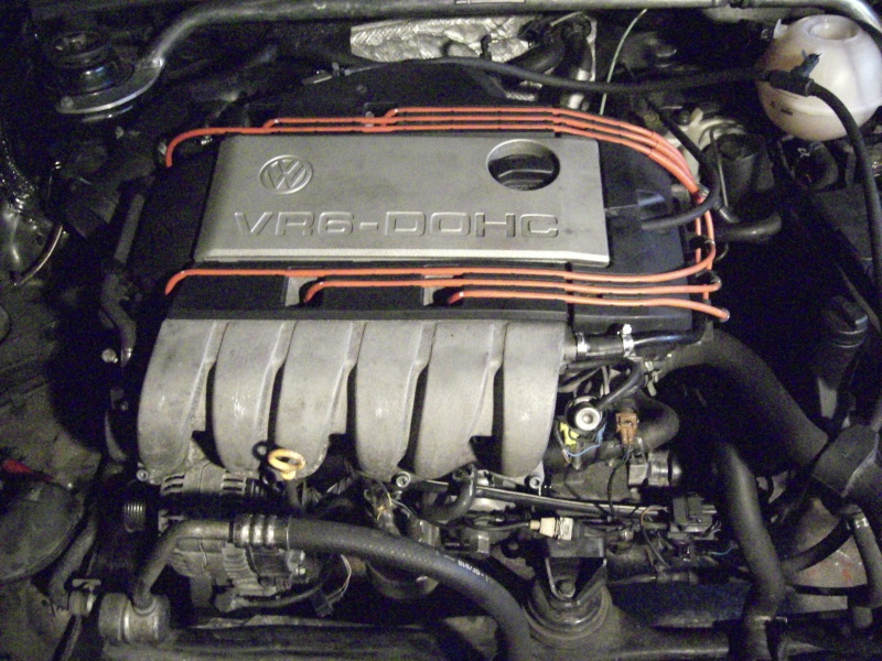 dsci0628.jpg