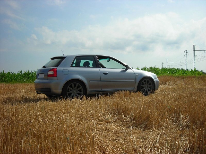 dscn3310.jpg