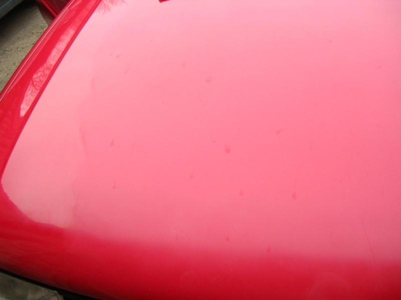 dscn6547.jpg