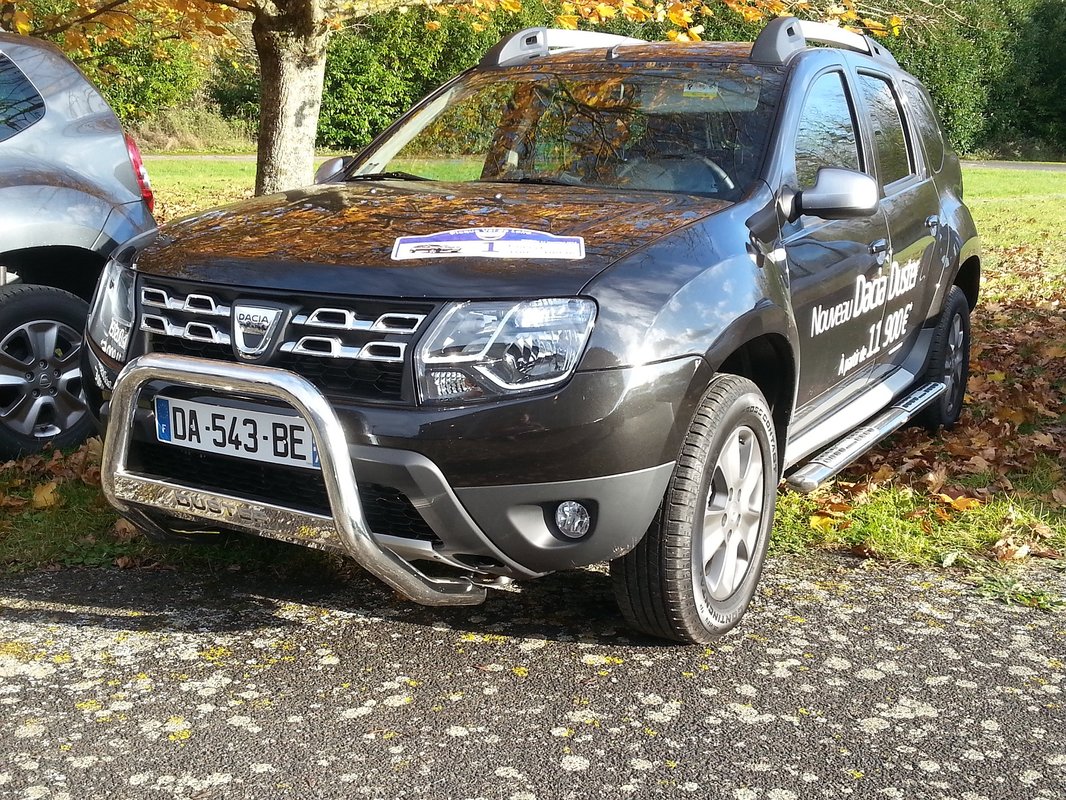 duster-20131124_143108-big.jpg