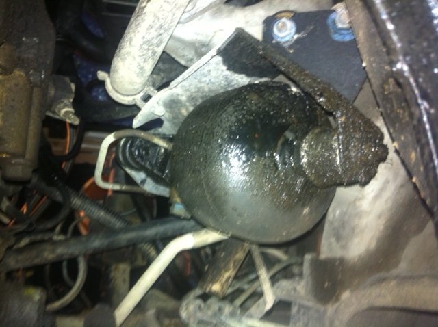 photo%204.JPG?psid=1