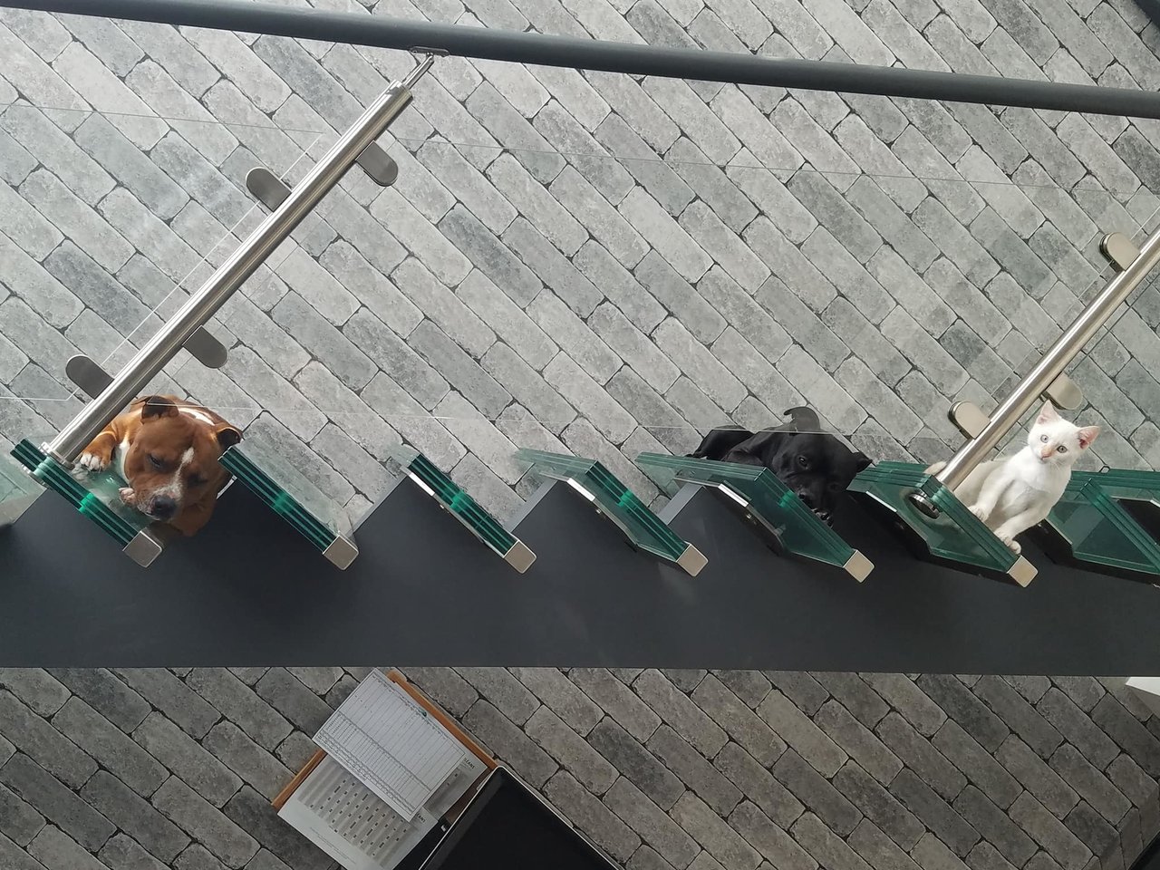 Lâimage contient peut-ÃªtreÂ : une personne ou plus