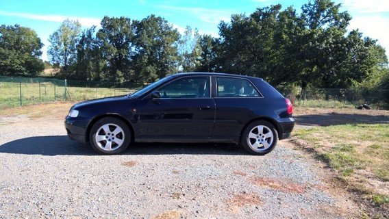 img-7423091d29.jpg?v=1